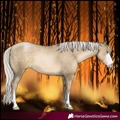 Horse Color:Silver Smoky Black Pearl Sabino