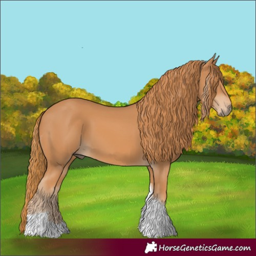 Horse Color:Chestnut Tobiano 