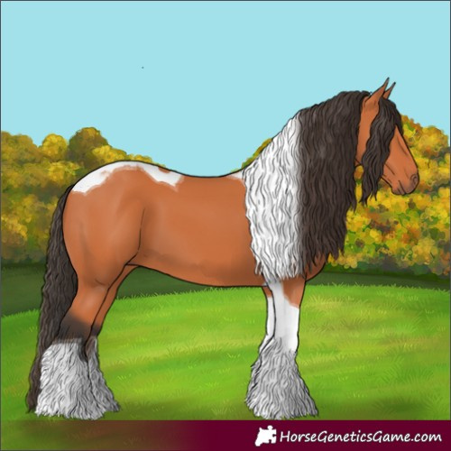 Horse Color:Bay Tobiano 
