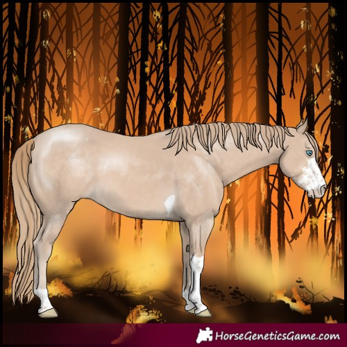 Horse Color:Smoky Creme Sabino Tobiano 