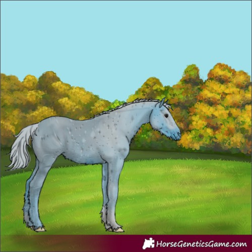 Horse Color:ERROR: UNKNOWN ANOMALY