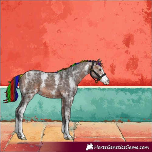 Horse Color:Painted Bay Ice Sabino
