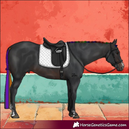 Horse Color:Painted Brown Sabino