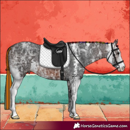 Horse Color:Painted Brown Ice Sabino 