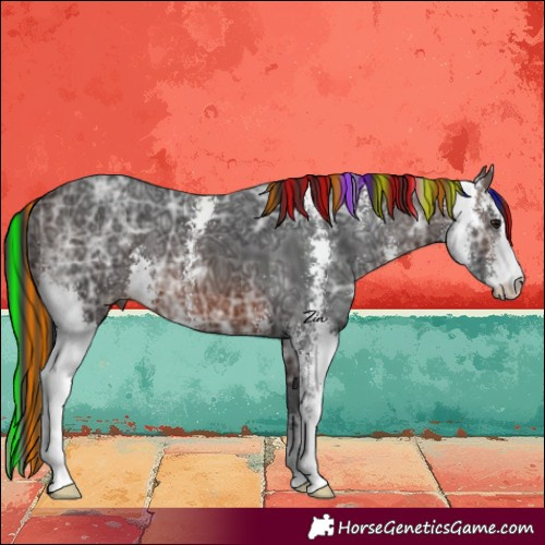 Horse Color:Painted Brown Ice Sabino