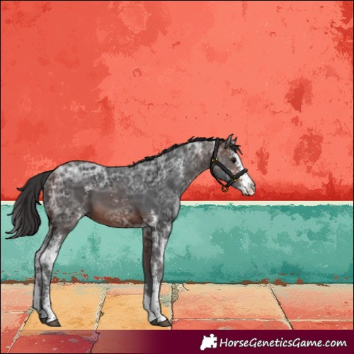 Horse Color:Brown Ice Sabino