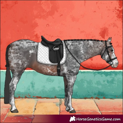 Horse Color:Brown Ice Sabino 