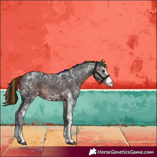 Horse Color:Painted Brown Ice Sabino 