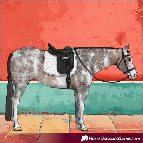 Horse Color:Brown Ice Sabino Varnish 