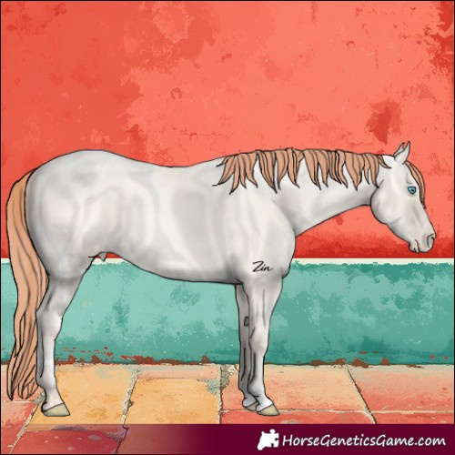 Horse Color:Sable Cream Champagne Ice Pearl Dun Varnish 