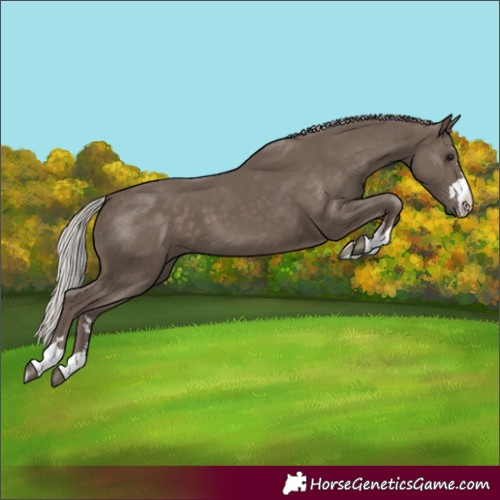 Horse Color:Silver Black 