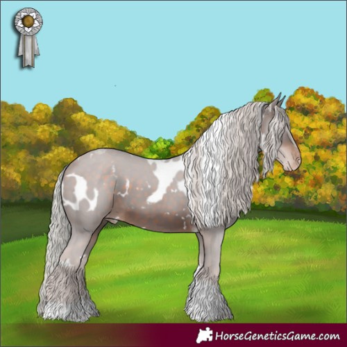 Horse Color:White Spotted Silver Brown Tobiano Skewed LP Spotted