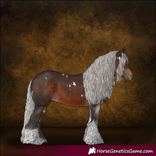 Horse Color:White Spotted Silver Brown Tobiano