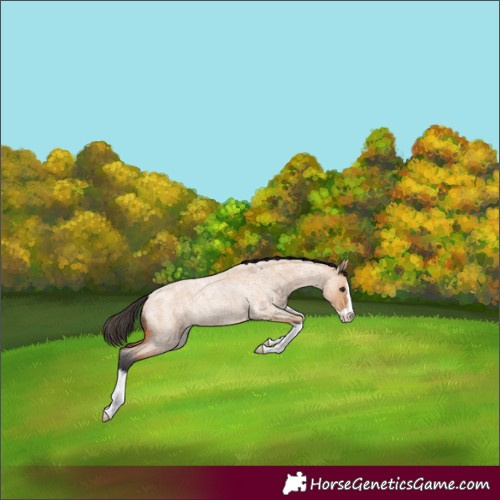 Horse Color:Bay Roan Dun Splash 