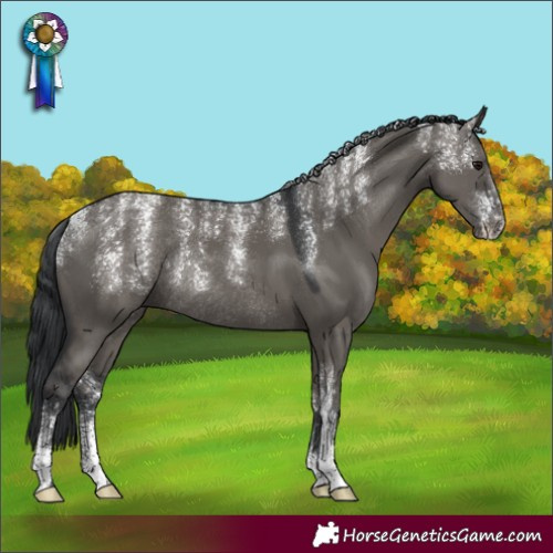 Horse Color:Powder White Grullo Rabicano 
