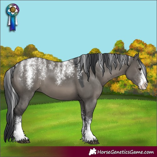 Horse Color:Powder White Grullo Sabino 
