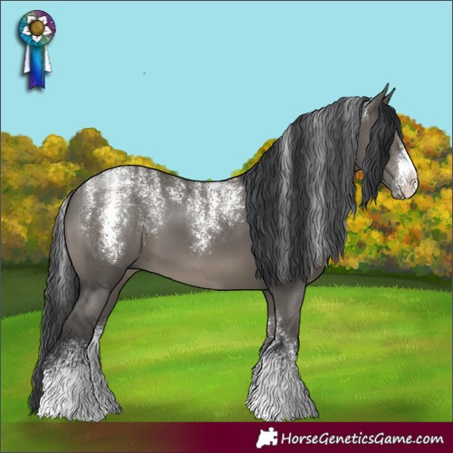 Horse Color:Powder White Grullo Sabino 