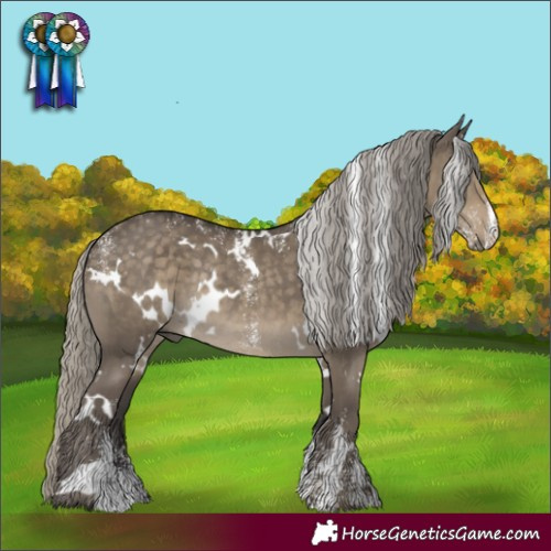 Horse Color:Powder White White Spotted Silver Smoky Grullo Rabicano 
