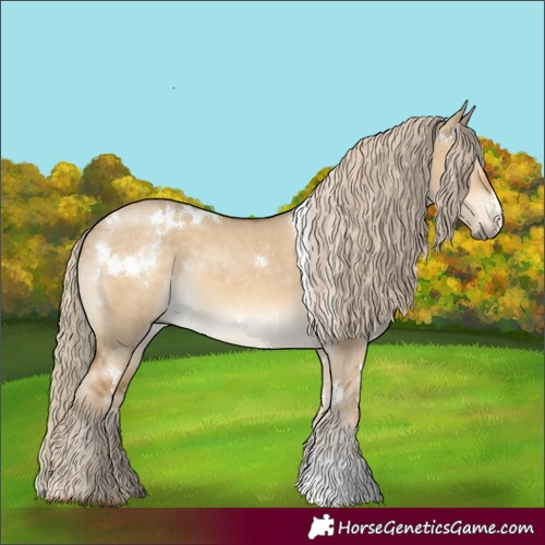 Horse Color:White Spotted Chocolate Palomino Dun Sabino Rabicano