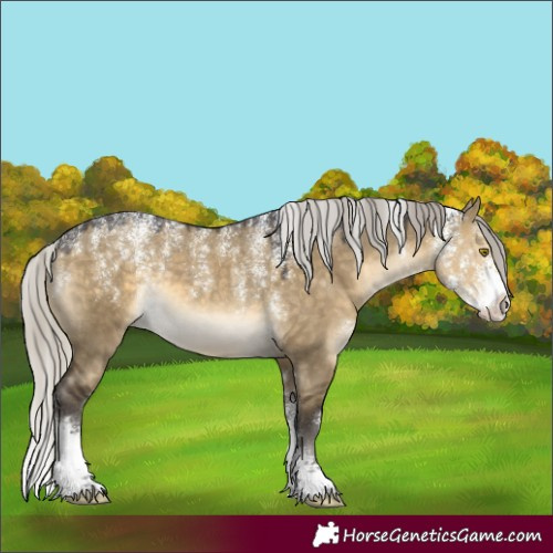 Horse Color:Powder White Silver Buckskin Dun Sabino 
