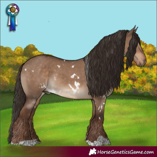 Horse Color:White Spotted Liver Red Dun Rabicano 