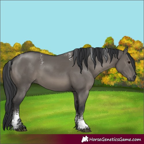 Horse Color:Powder White Grullo Sabino Rabicano 