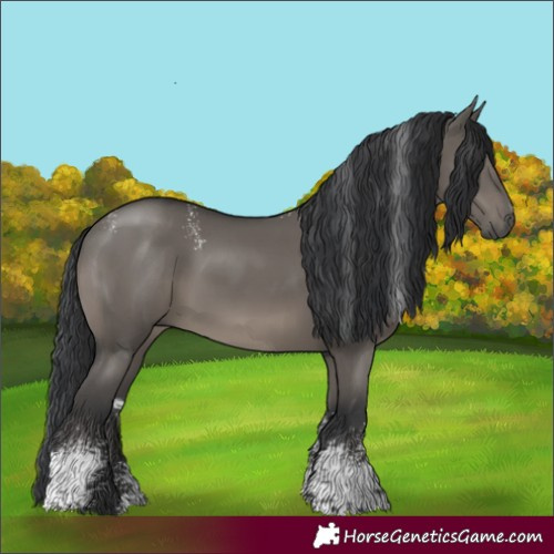 Horse Color:Powder White Grullo Sabino Rabicano 