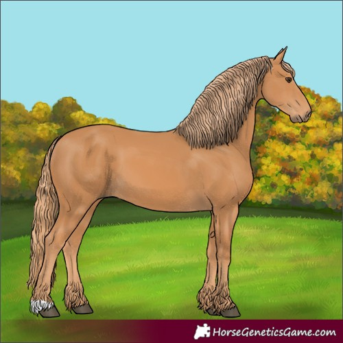 Horse Color:Chestnut 