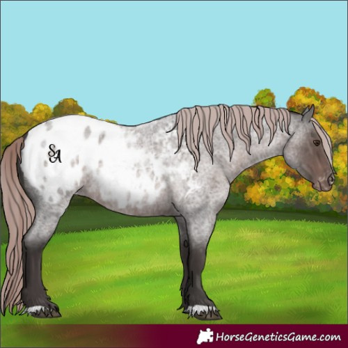 Horse Color:Platinum Liver Red Roan Blanket Rabicano 