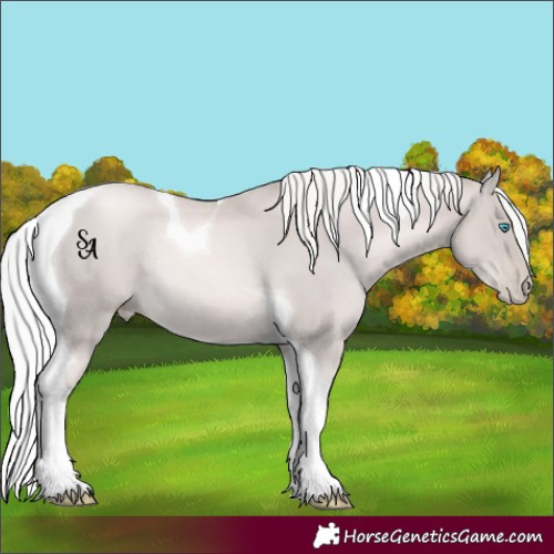 Horse Color:Platinum Chocolate Palomino Pearl Tobiano Rabicano