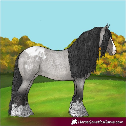 Horse Color:Grullo Roan Blanket Rabicano 