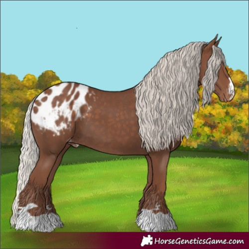 Horse Color:Silver Black Blanket 