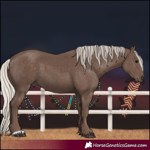 Horse Color:Silver Black