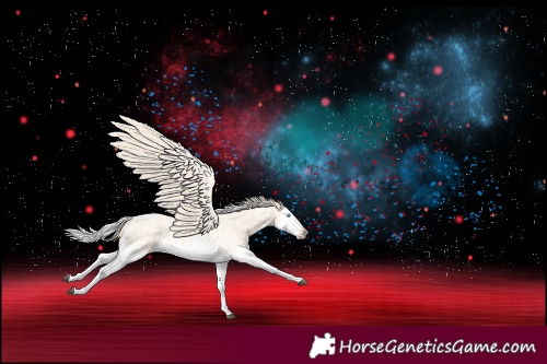 Horse Color:Silver Buckskin Roan Splash 