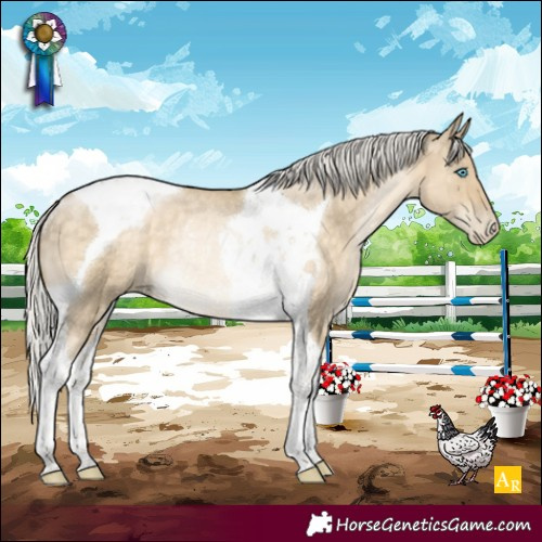 Horse Color:Silver Buckskin Pearl Dun Tobiano Rabicano Brindle 