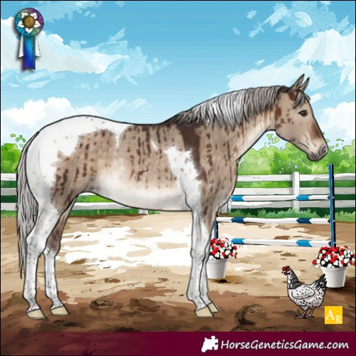 Horse Color:Silver Brown Dun Tobiano Rabicano Brindle