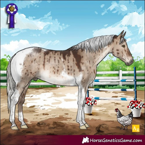 Horse Color:Silver Brown Dun Tobiano Brindle 