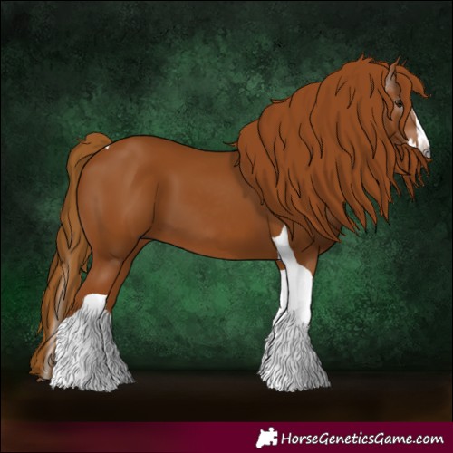 Horse Color:Gray Chestnut Splash Tobiano 
