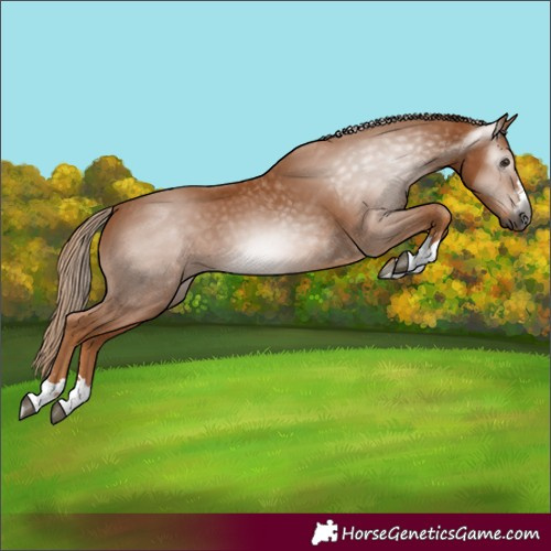 Horse Color:Gray Chestnut