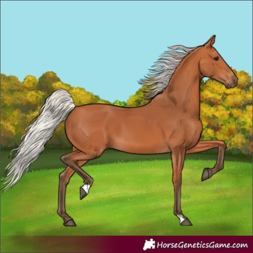 Horse Color:Silver Bay