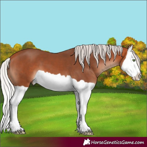 Horse Color:Silver Bay Mushroom Splash 