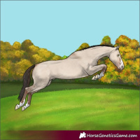 Horse Color:Amber Champagne Dun