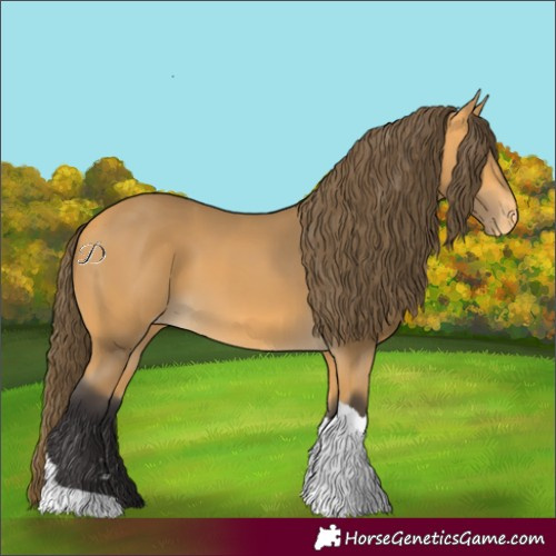 Horse Color:Buckskin Tobiano Varnish