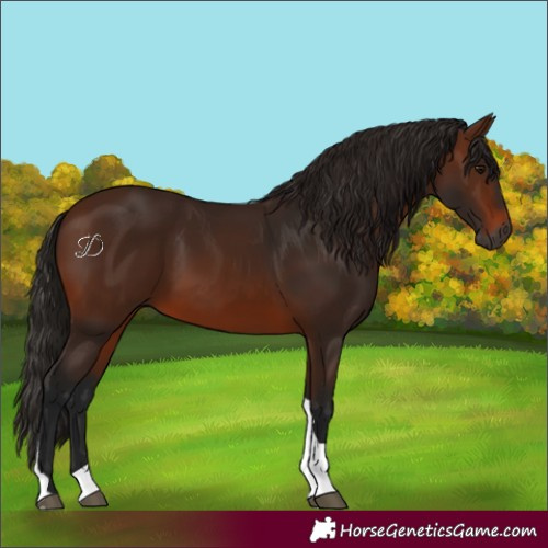 Horse Color:Gray Bay Tobiano