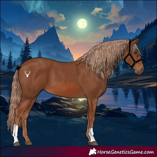 Horse Color:Chestnut 