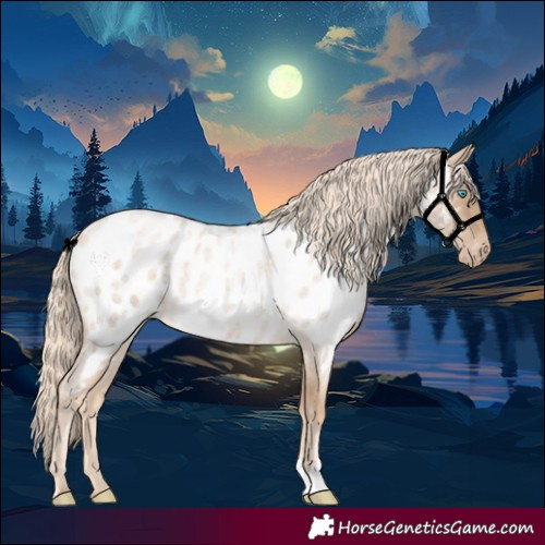 Horse Color:Chocolate Palomino Roan Pearl Blanket