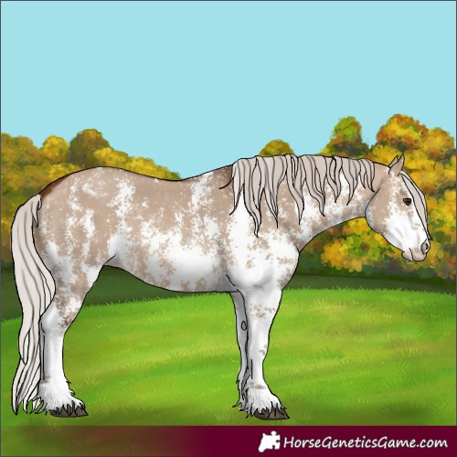 Horse Color:Silver Brown Dun Sabino Snowflake Varnish