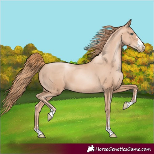 Horse Color:Gold Champagne Pearl
