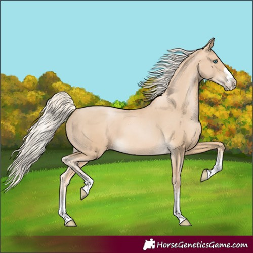 Horse Color:Palomino Pearl