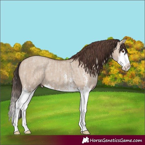 Horse Color:Classic Champagne Dun Sabino Splash and Classic Champagne Dun Sabino Splash